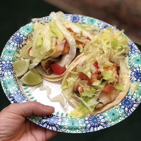 Two fish tacos with cabbage on a patterned plate (mood photo)